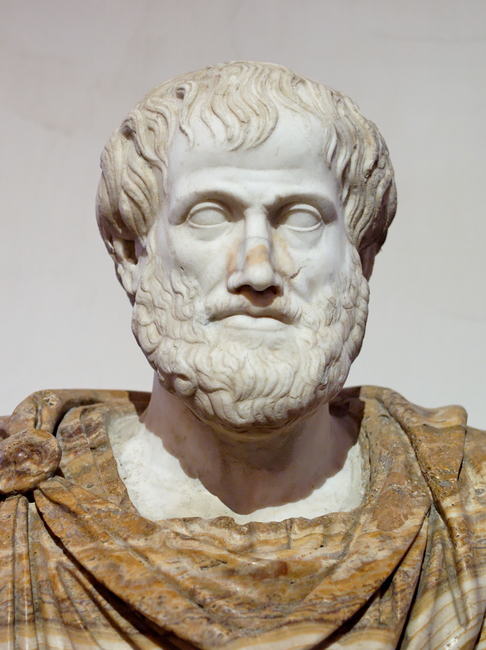 Change, Buy-In, and How Aristotle Taught Continuous Improvement